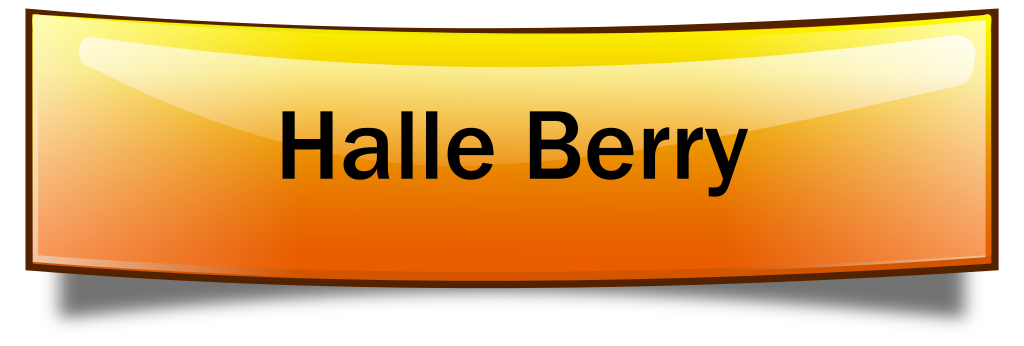 Halle Berry celebrity photo